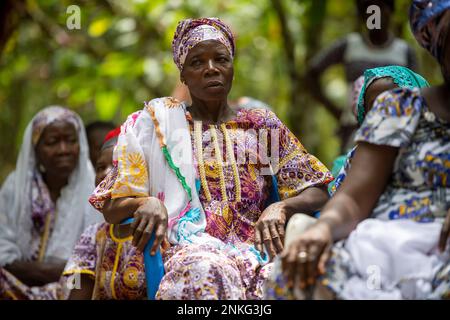 Agboville, Côte d'Ivoire. 23rd févr. 2023. Les travailleurs de la récolte s'assoient dans une plantation de cacao. Le ministre fédéral du travail Heil et le ministre fédéral de la coopération et du développement économiques Schulze se rendent au Ghana et en Côte d'Ivoire. Credit: Christophe bateau/dpa/Alay Live News Banque D'Images