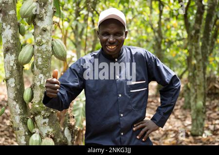 Agboville, Côte d'Ivoire. 23rd févr. 2023. Sougue Moussa se trouve à côté d'un cacao sur sa plantation de cacao. Le ministre fédéral du travail Heil et le ministre fédéral de la coopération et du développement économiques Schulze se rendent au Ghana et en Côte d'Ivoire. Credit: Christophe bateau/dpa/Alay Live News Banque D'Images