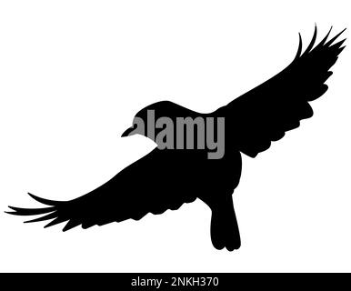 Oiseau volant comme la silhouette de pigeon d'arnaque, atterrissage avec des ailes ouvertes Illustration de Vecteur