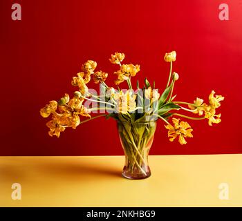 Tulipes jaunes dans un vase sur fond rouge Banque D'Images