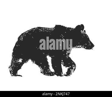 Silhouette d'un ours brun sur fond blanc Banque D'Images