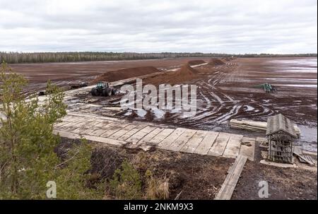 Vue sur la nature d'un marais avec un site de creusage de tourbe dans une zone marécageuse avec une promenade en bois et un tracteur en arrière-plan Banque D'Images