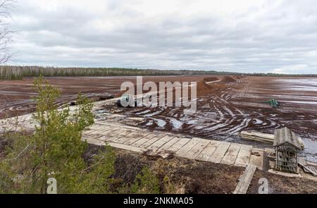 Vue sur la nature d'un marais avec un site de creusage de tourbe dans une zone marécageuse avec une promenade en bois et un tracteur en arrière-plan Banque D'Images