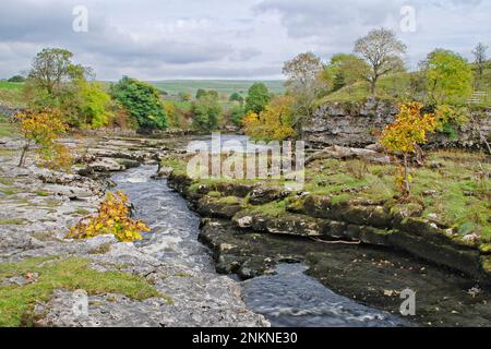 Quelques touches de couleur automnale le long de la rivière Wharfe, au-dessus du pont routier vers Grassington, dans le parc national de Yorkshire Dales Banque D'Images