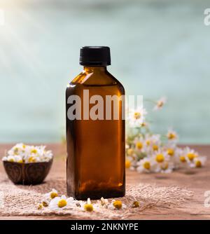 Huile essentielle de camomille. Huiles végétales naturelles. Marguerites fraîches et bouteille d'huile sur table en bois Banque D'Images