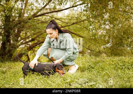 fille avec son ami chien dans le parc. mistress peetting son dachshund. Banque D'Images