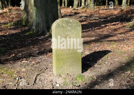 Marqueur North Downs Way (sentier longue distance) à Kings Wood, Challock, Kent, Angleterre, Royaume-Uni Banque D'Images