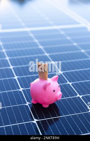Concept d'économie d'énergie avec panneaux solaires et une banque de porc avec cinquante euros Banque D'Images