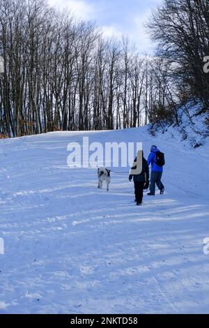 Couple marchant avec un grand chien dans la forêt enneigée. Mode de vie actif. Trekking en hiver Banque D'Images