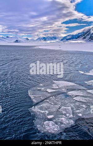 Dérive de la glace flottante et des montagnes enneigées, Iceberg, flotteurs de glace, Albert I Land, Arctique, Spitzbergen, Svalbard, Norvège, Europe Banque D'Images