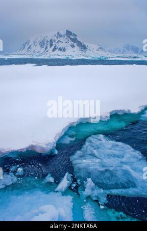 Dérive de la glace flottante et des montagnes enneigées, Albert I Land, Arctic, Spitsbergen, Svalbard, Norvège, Europe Banque D'Images