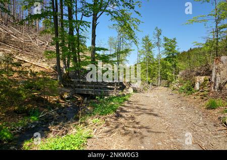 Im Silberbachtal Tal Banque D'Images