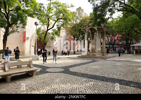 Lisbonne, Portugal- 6 novembre 2022 : fontaine du 17th siècle dans une élégante place entourée d'arbres Jacaranda et de bâtiments historiques Banque D'Images