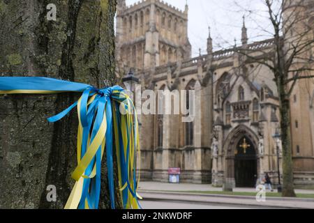 College Green, Royaume-Uni. 24th févr. 2023. À l'occasion du premier anniversaire de l'invasion russe de l'Ukraine, des rubans aux couleurs du drapeau ukrainien ont des abeilles attachées sur les arbres verts du Collège. Crédit : JMF News/Alay Live News Banque D'Images