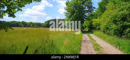 Wederwege im Teutoburger Wald Banque D'Images