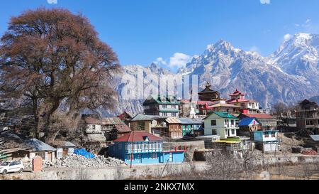 Vue sur le village de Kalpa et le mont Kinnaur Kailash, Kinnaur, Himachal Pradesh, Inde Banque D'Images