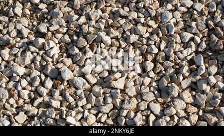 Texture d'arrière-plan des cailloux de pierre. Fond de pierre naturelle provenant de miettes de pierre naturelle jasper, granit, gabbro, galets Banque D'Images