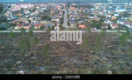 Vue aérienne au-dessus de la nature endommagée dans une zone de déforestation, tir de haut en bas de drone. Banque D'Images