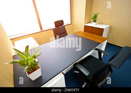 Un bureau professionnel doté d'un bureau contemporain avec une chaise d'ordinateur et deux plantes, créant un espace de travail accueillant et productif Banque D'Images