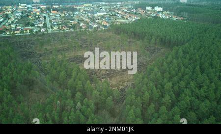 Vue aérienne au-dessus de la nature endommagée dans une zone de déforestation, tir de haut en bas de drone. Banque D'Images