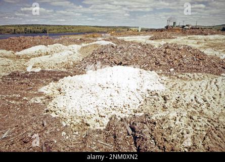 1970s États-Unis: L'écorce de déchets et les produits chimiques du papier Georgia Pacific sont en commun le long de la St. Rivière Croix. Le moulin à papier est en arrière-plan ca. 1973 Banque D'Images