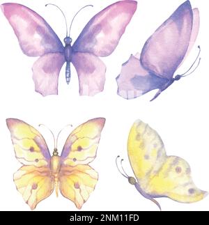 Illustration aquarelle de papillons violets et jaunes délicats. Pour le design de bannière, carte postale Illustration de Vecteur