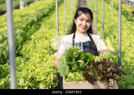 Les femmes asiatiques cultivent des légumes hydroponiques dans des serres. Inspection de la qualité des produits agricoles. Les concepts d'agriculture moderne utilisant des concepts modernes Banque D'Images