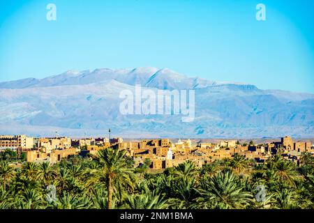 Afrika, Marokko, Südmarokko, Ouarzazate, Blick über Palmengärten zur Stadt und zum Atlas Gebirge Banque D'Images