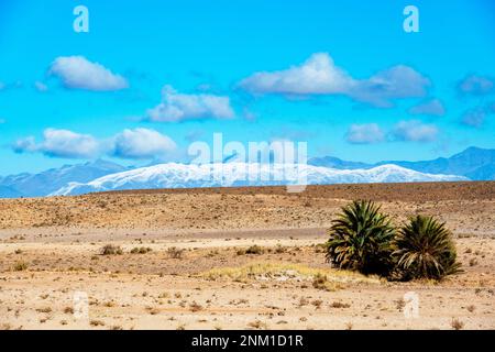 Afrika, Marokko, Südmarokko, Ouarzazate, Atlasgebirge Banque D'Images
