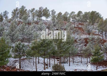 Afrika, Marokko, Südmarokko, Ouarzazate, an der Strasse N9 westlich von Ouarzazate, vor dem Tizi'n'Tichka Pass fällt Schnee Banque D'Images