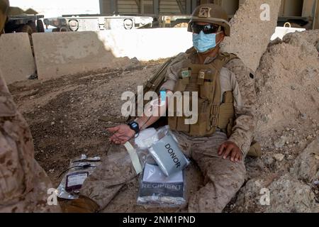 A ÉTATS-UNIS L'hôpital de la Marine Corpsman, affecté au Groupe de travail air-sol marin à but spécial - intervention en cas de crise - Commandement central 20,2, a son sang prélevé pendant la formation tactique de transfusion de sang total frais d'urgence au Koweït, le 18 août 2020. Banque D'Images