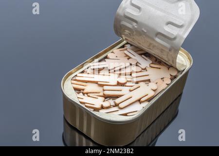 En bois découpé au laser, de forme mâle et femelle, emballé dans une boîte de sardine métallique. Pour les gens emballés comme des sardines, écrasées ensemble, pas assez de place pour bouger. Banque D'Images