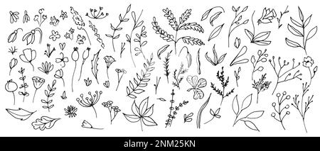 Grand ensemble de plantes vectorielles de style Doodle. Illustration dessinée à la main en noir et blanc monochrome. Collection florale avec trèfle et fleurs sur fond isolé. Contours des branches de l'icône. Illustration de Vecteur