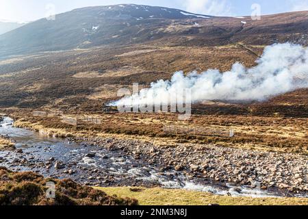 La combustion contrôlée de landes de bruyère (marécages ou muirburn) à côté de Clunie Water sur les pentes de Sgor Mor au sud de Braemar, Aberdeenshire, Scotl Banque D'Images