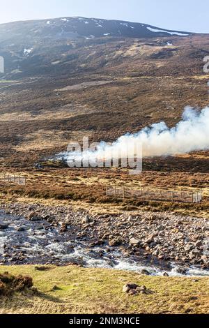 La combustion contrôlée de landes de bruyère (marécages ou muirburn) à côté de Clunie Water sur les pentes de Sgor Mor au sud de Braemar, Aberdeenshire, Scotl Banque D'Images