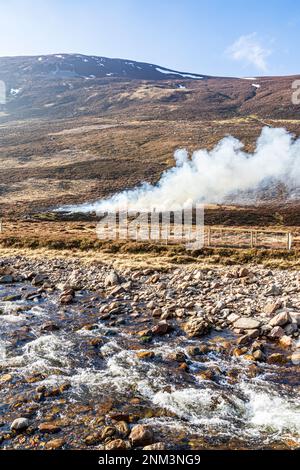 La combustion contrôlée de landes de bruyère (marécages ou muirburn) à côté de Clunie Water sur les pentes de Sgor Mor au sud de Braemar, Aberdeenshire, Scotl Banque D'Images