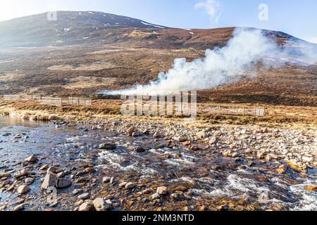 La combustion contrôlée de landes de bruyère (marécages ou muirburn) à côté de Clunie Water sur les pentes de Sgor Mor au sud de Braemar, Aberdeenshire, Scotl Banque D'Images