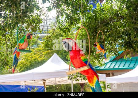 Perroquets de bois colorés au terminal de croisière la Romana, la Romana, République dominicaine (Republica Dominicana), grandes Antilles, Caraïbes Banque D'Images