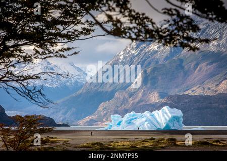 Le lac Grey, iceberg détaché du glacier Grey, parc national Torres del Paine, Patagonie, Chili Banque D'Images