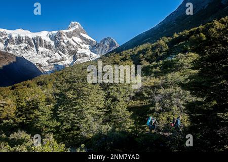 Les randonneurs à pied dans la vallée del Francés, parc national Torres del Paine, Patagonie, Chili Banque D'Images