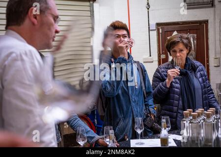 Dégustation de gin par Danny Cameron, à la distillerie Dyfi, artisan gin par Pete Cameron et Danny Cameron, Corris, Machynlleth, au Pays de Galles Banque D'Images