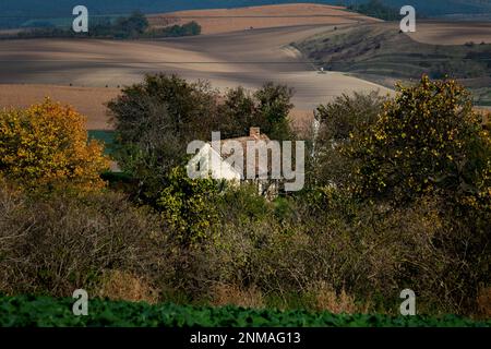 La maison est cachée dans la forêt morave, entre les champs. République tchèque Banque D'Images