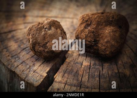 Délicat et rare champignons de truffe noir cuisine italienne typique Banque D'Images