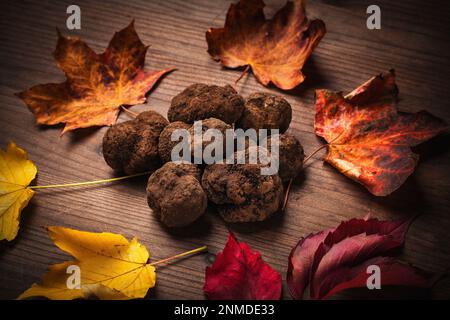 Délicat et rare champignons de truffe noir cuisine italienne typique Banque D'Images