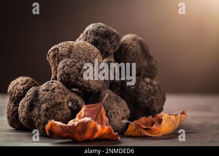 Délicat et rare champignons de truffe noir cuisine italienne typique Banque D'Images