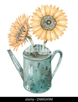Tournesols d'automne dans un arrosoir de jardin. Illustrations d'aquarelle d'automne avec feuilles et fleurs en décoloration, éléments d'automne pour le design. Banque D'Images