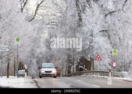 Hiver dans l'Alb souabe, les arbres le long de la route de l'avenue allemande portent le houarfrost, Eningen, Bade-Wurtemberg, Allemagne Banque D'Images