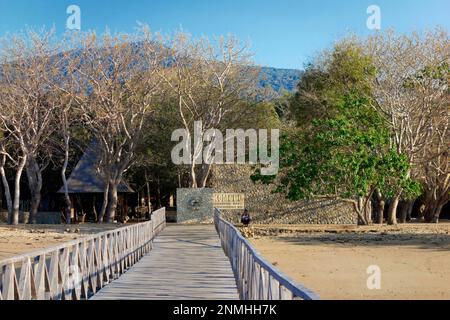 Passerelle avec balustrade, arbres d'entrée, bâtiment, parc national de Komodo, site classé au patrimoine mondial de l'UNESCO, île de Komodo, îles Lesser Sunda, Indonésie Banque D'Images