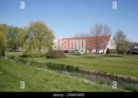 Maisons résidentielles, maisons unifamiliales au printemps par un plan d'eau, Kattenturm, Brême, allemagne Banque D'Images