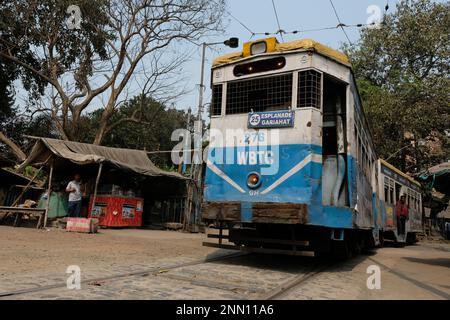 Kolkata, Inde. 24th févr. 2023. Un tram vu dans le dépôt de tram Esplanade. Plusieurs organisations d'amateurs de tram célèbrent 150 ans de services de tram à Kolkata, Inde. Le thème principal du programme est de préserver les services de tramway du patrimoine et de promouvoir la mobilité verte et les services de transport sans pollution. Selon le site Web de la West Bengal transport Corporation (WBTC), le premier tramway, une voiture tirée par des chevaux, a roulé sur la bonne voie le 24th février 1873. Le service de tramway est sur le point d'être extinction en raison de divers projets de métro et de voies de circulation modernes dans la ville. Actuellement, sur 30 lignes de tramway, il n'y en a que Banque D'Images